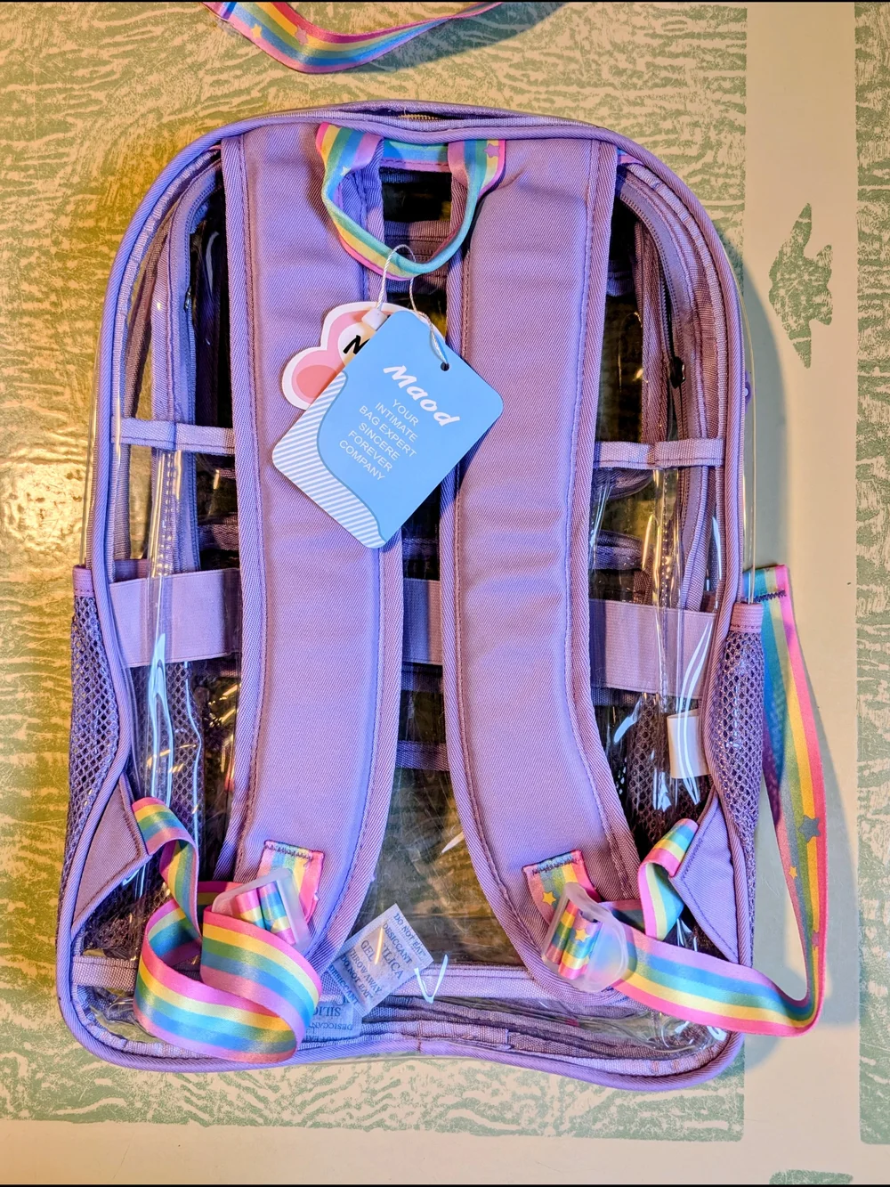 N/A transparent backpack